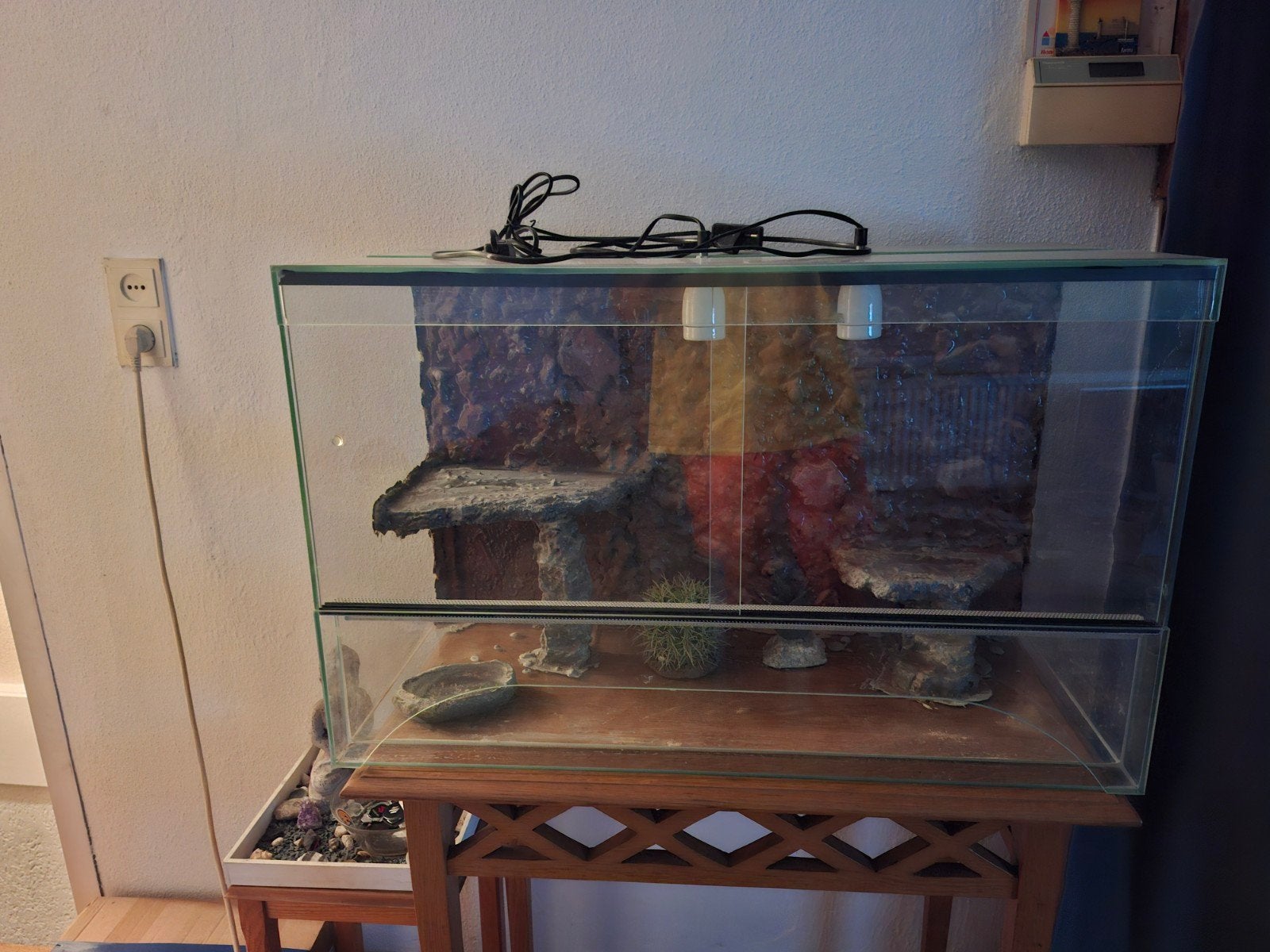 terrarium 80x50x40 (moet weg), Ophalen, Gebruikt, Terrarium of Paludarium
