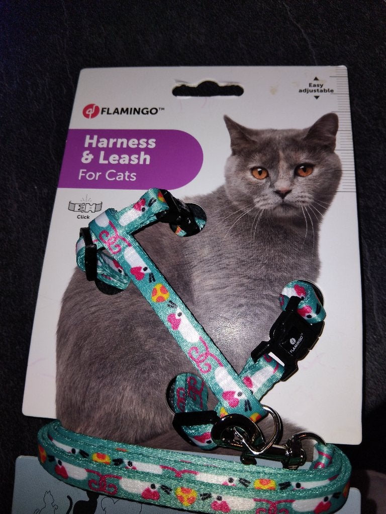 Kattentuigje, Dieren en Toebehoren, Ophalen, Nieuw