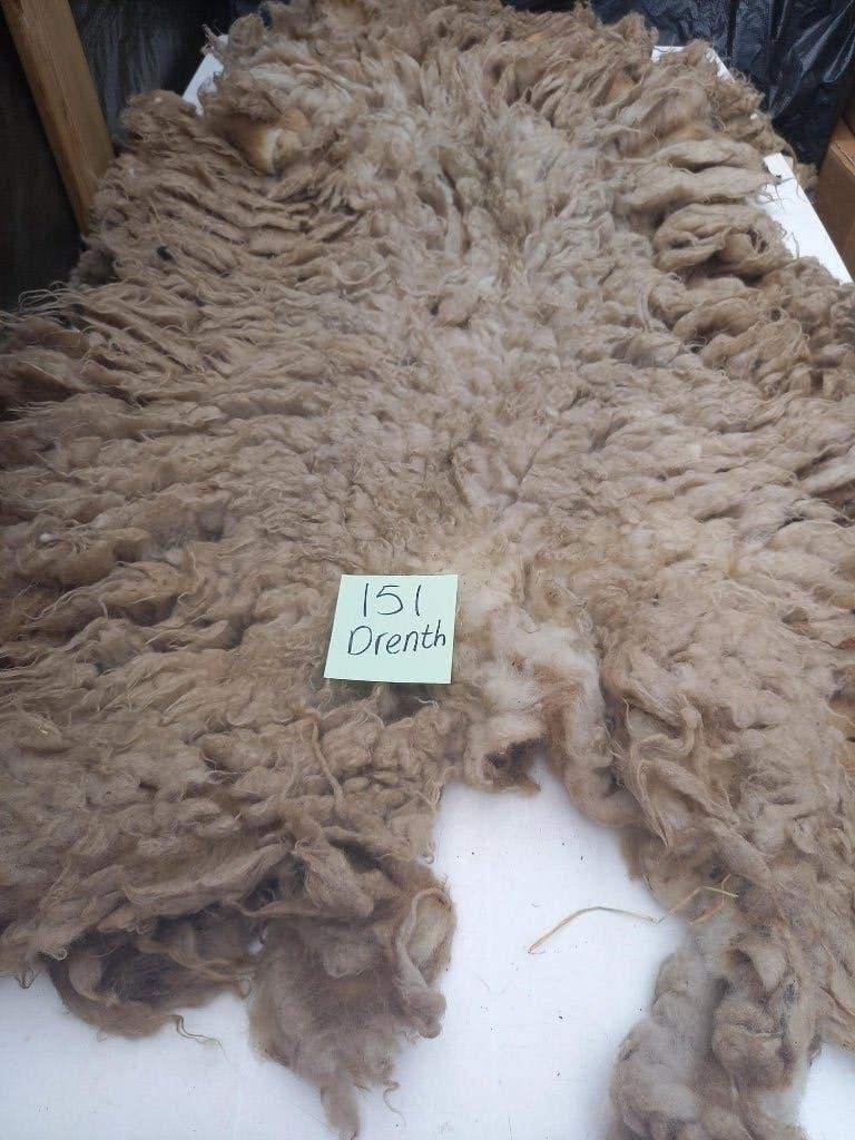 nr 151 Geschoren vacht van Drents heideschaap, Ophalen of Verzenden, Gebruikt