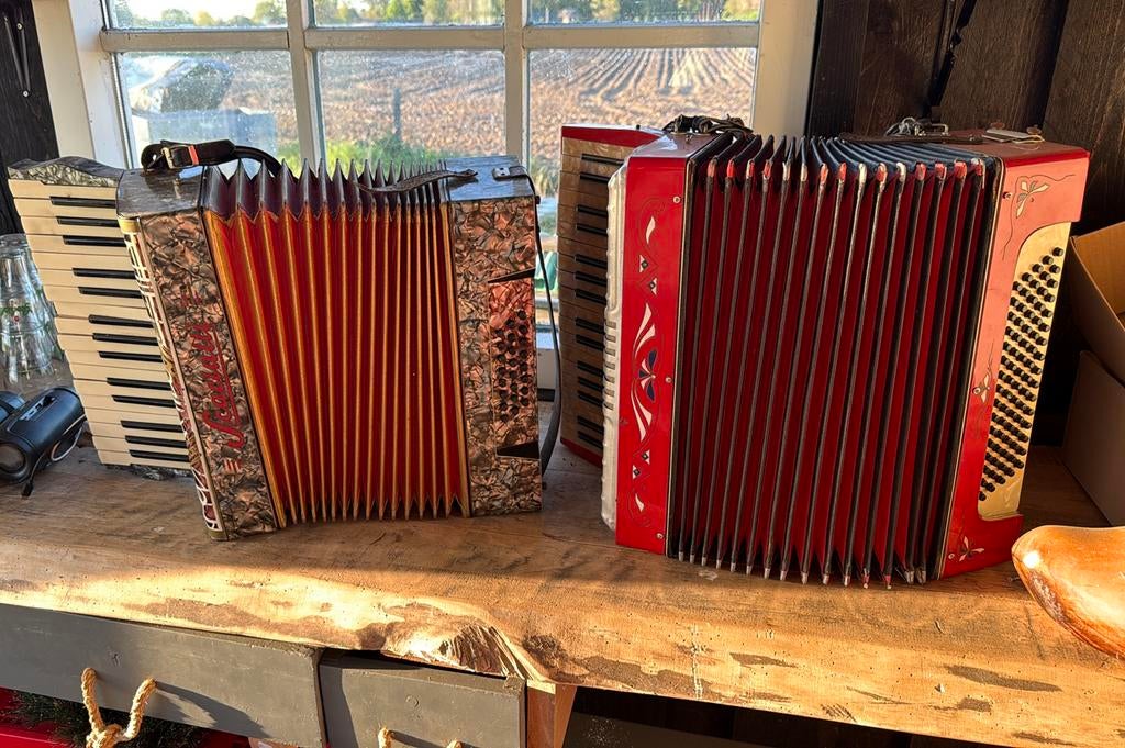 Twee accordeons met muziek boxen, Ophalen, Zo goed als nieuw, Overige merken