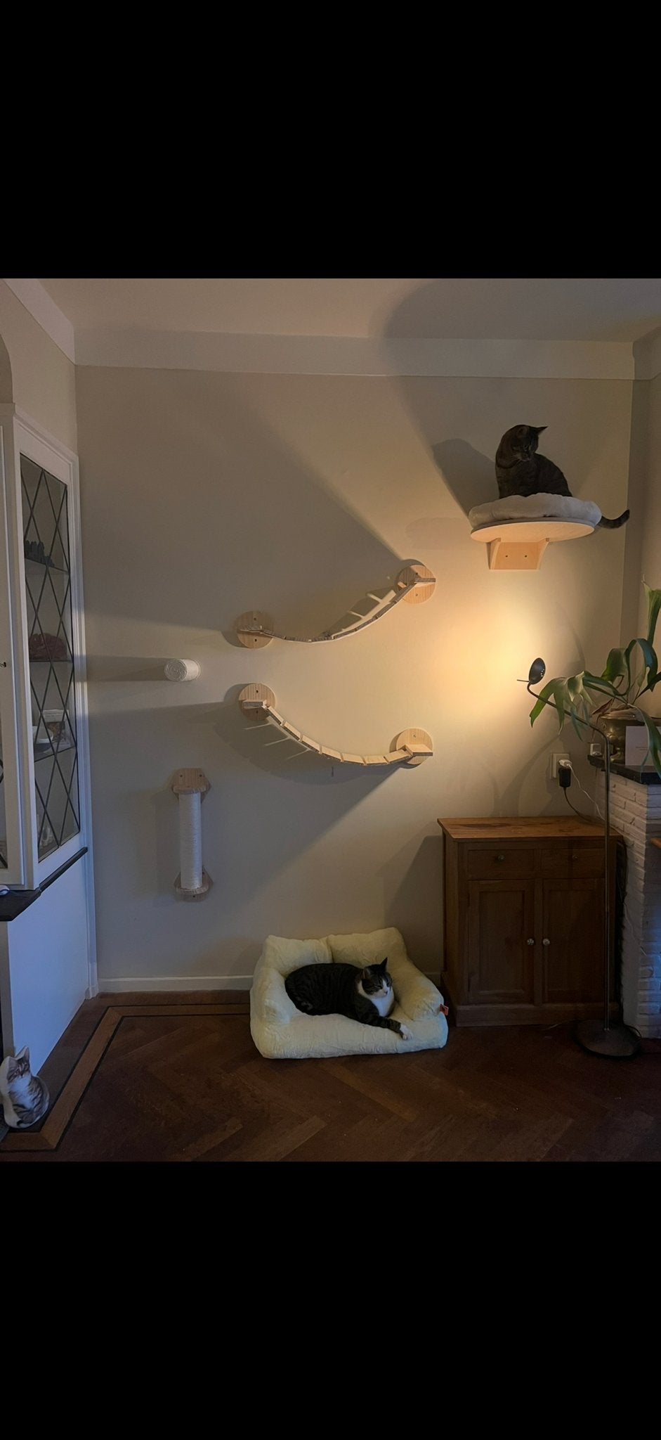 Klimwand katten, Ophalen, Gebruikt