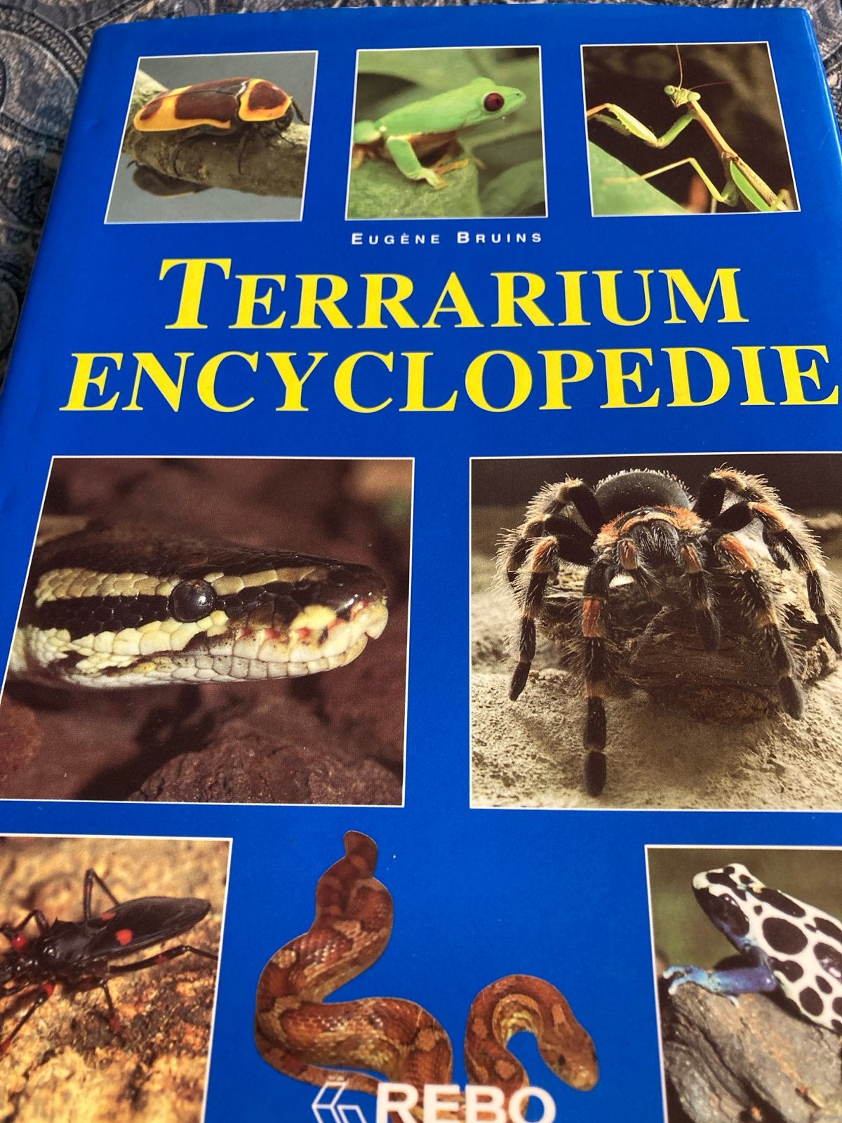 Terrarium Encyclopedie - Eugene Bruins, Ophalen of Verzenden, Zo goed als nieuw, Dieren, Los deel