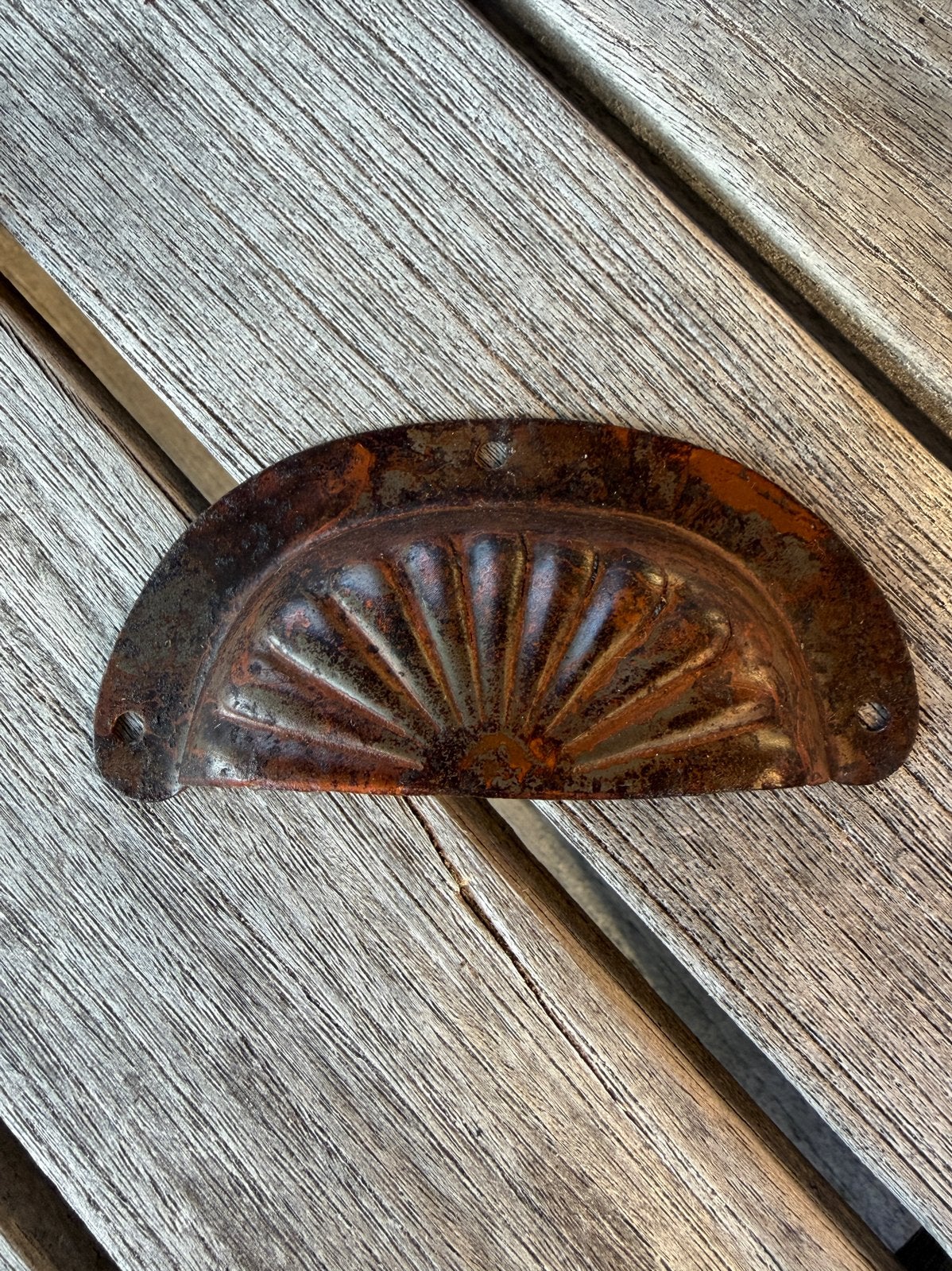 6 Brocante Schelp Handgreepjes met Platkopschroefjes, Ophalen