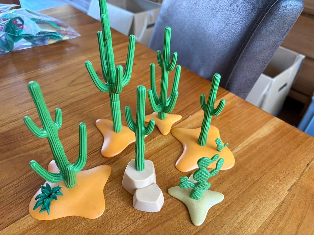 6 cactussen, Ophalen of Verzenden, Zo goed als nieuw