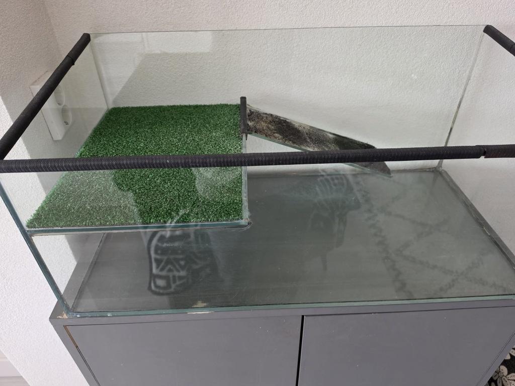 Aquarium voor waterschildpad / paludarium, Ophalen, Gebruikt, Terrarium of Paludarium