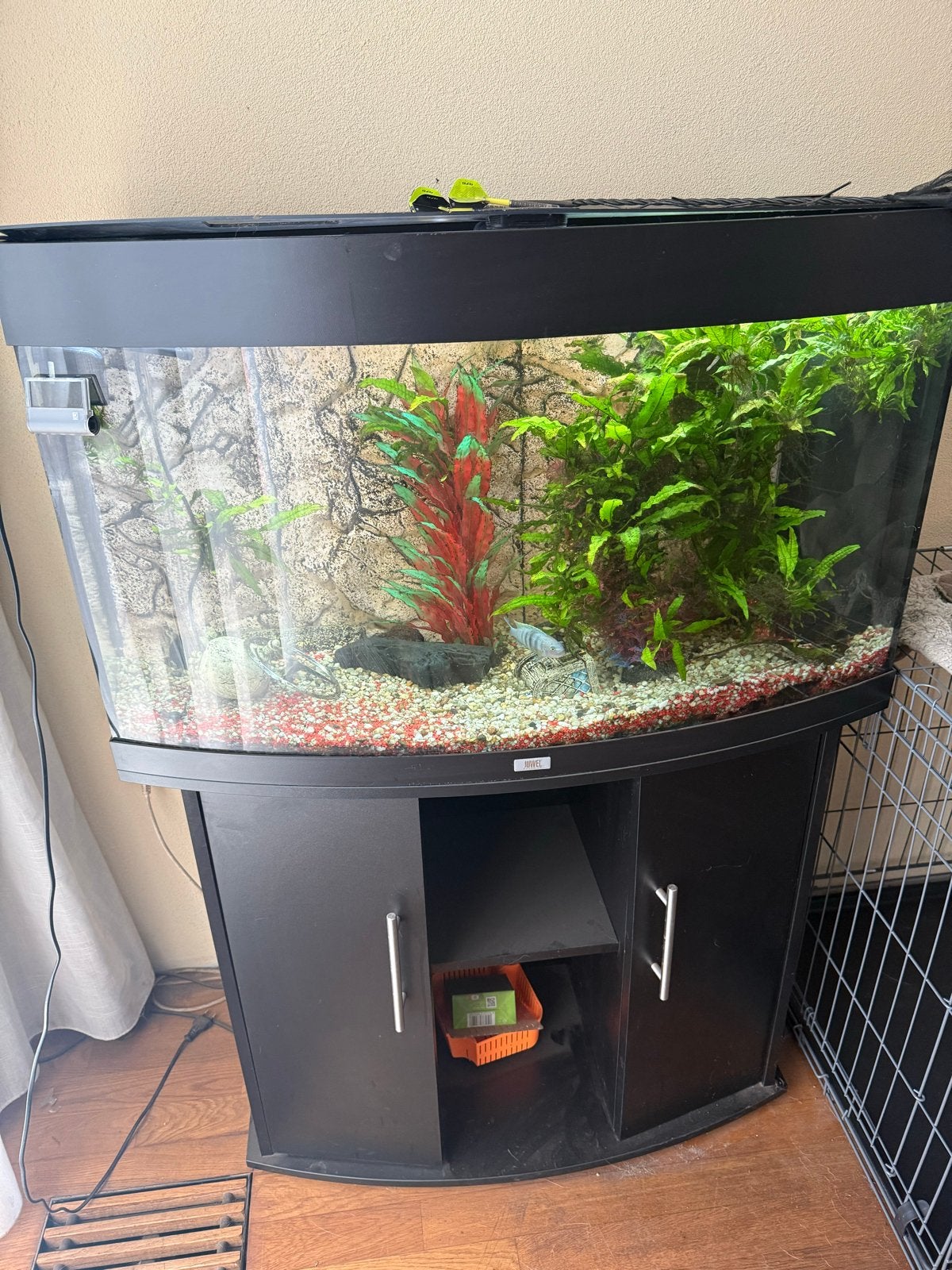 Juwel vision 180, Ophalen, Aquariummeubel, Zo goed als nieuw, Inclusief vissen