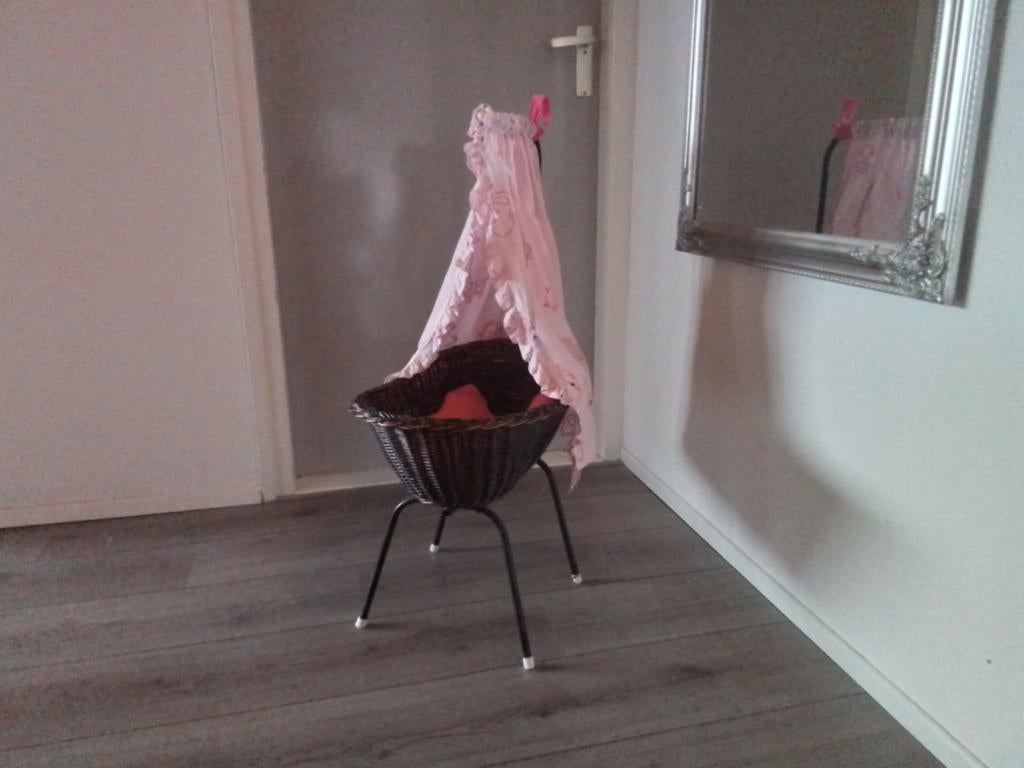 Poppenwieg, Kinderen en Baby's, Ophalen of Verzenden