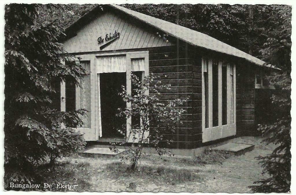 AK Voorthuizen - Vacantieoord "Dennenoord", De Ekster, Verzenden, 1960 tot 1980, Ongelopen, Gelderland