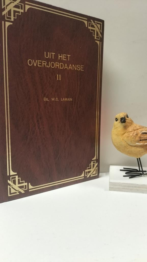 Lamain, Ds. W.C.; Uit het Overjordaanse deel 2, Boeken, Ophalen of Verzenden, Gelezen, Christendom | Protestants
