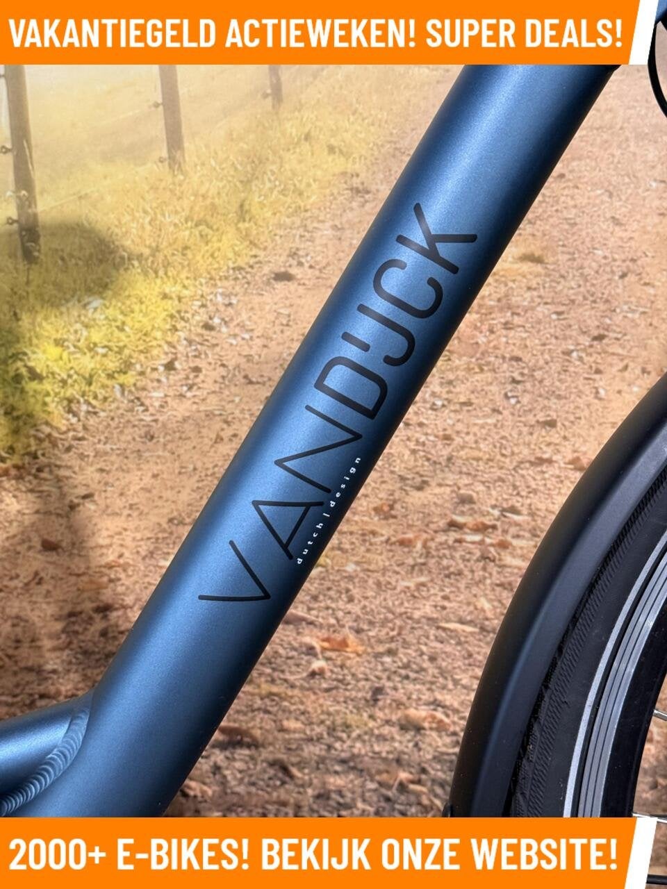 Van Dijck Ceres Elektrische fiets met voorwiel motor ebikes, 55 tot 59 cm, Overige merken