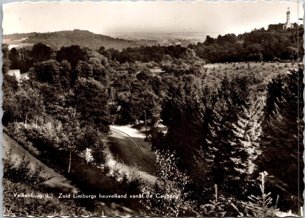 Valkenburg - Zuid Limburgs heuvelland vanaf de Cauberg, Verzenden, 1940 tot 1960, Ongelopen, Limburg
