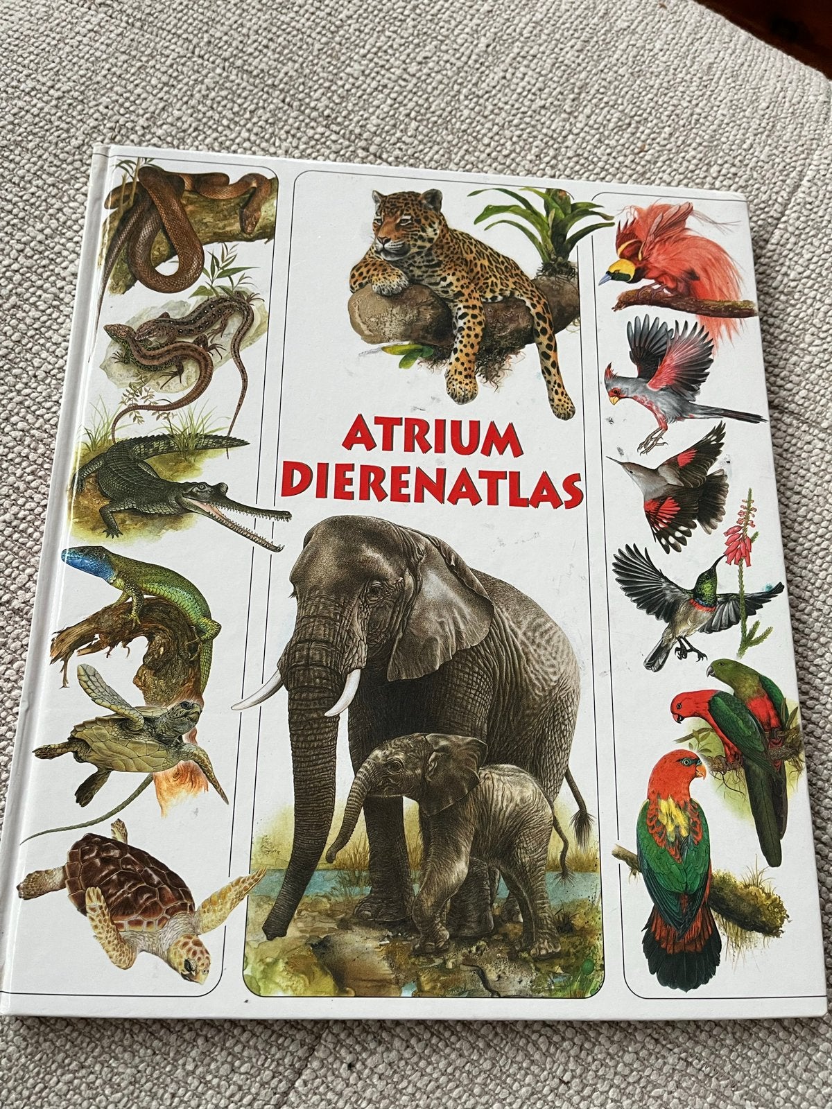 Atrium Dierenatlas - Encyclopedie van gewervelde dieren, Ophalen of Verzenden, Zo goed als nieuw, Dieren, Los deel