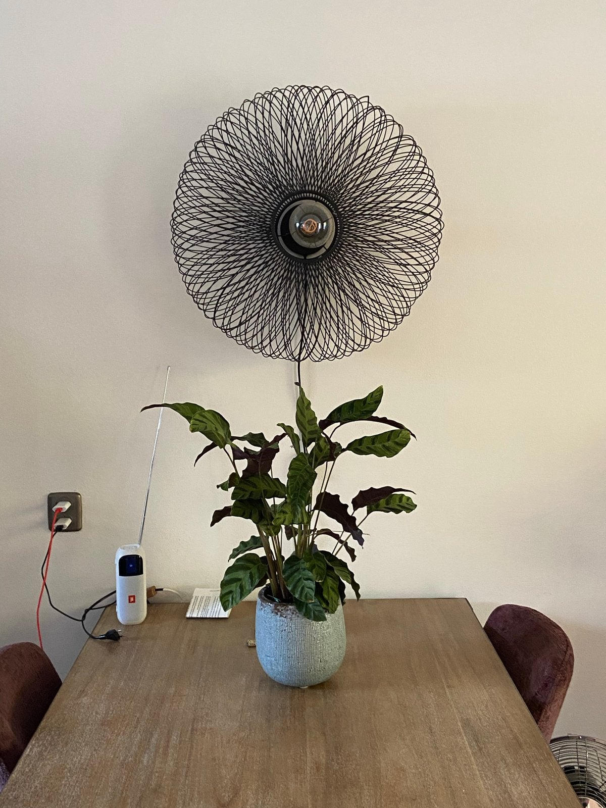 Good & Mojo Ellipse wandlamp, 60 cm, zgan, Zwart, Ophalen of Verzenden, Zo goed als nieuw, Overige merken