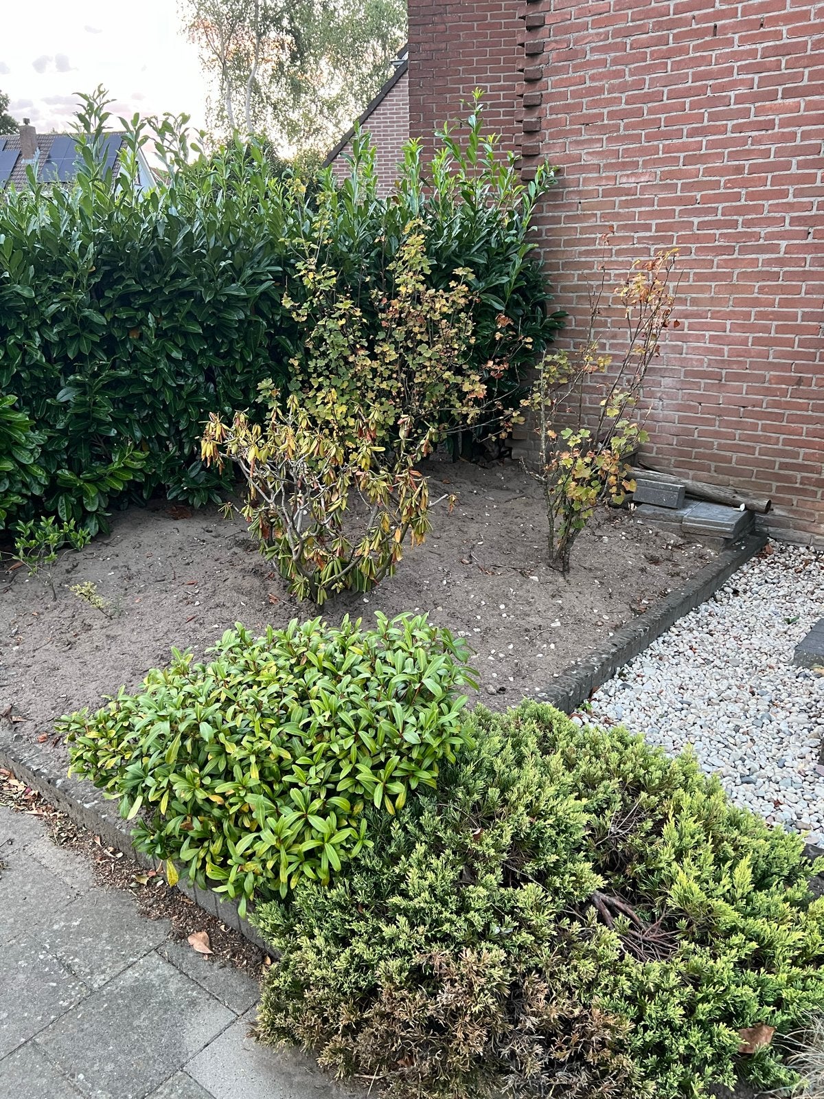 Gratis zwarte grond af te halen c.a. 2 m3, Ophalen, Gebruikt, Overige typen