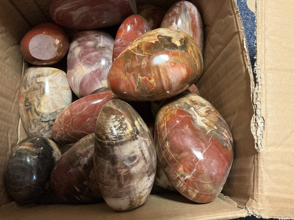 30 kilo Versteend Hout Edelstenen in een koop, Ophalen, Nieuw