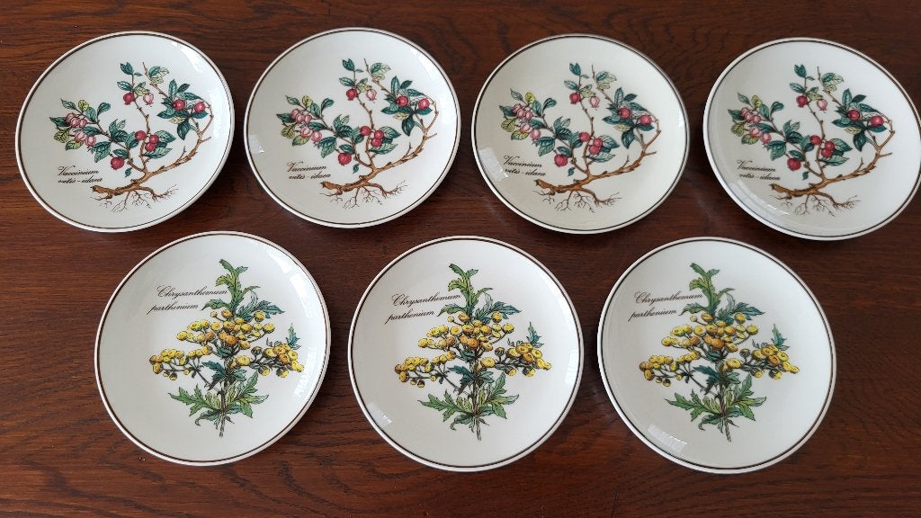 set v 7 Villeroy & Boch Botanica petit four bordjes - NIEUW, Ophalen, Villeroy & Boch, Nieuw, Bord(en)