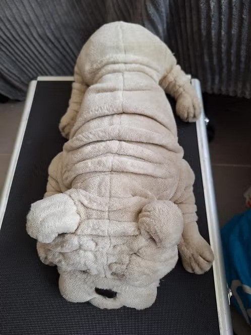 Knuffel hond Sharpei h, Onbekend, Zo goed als nieuw, Onbekend, Onbekend