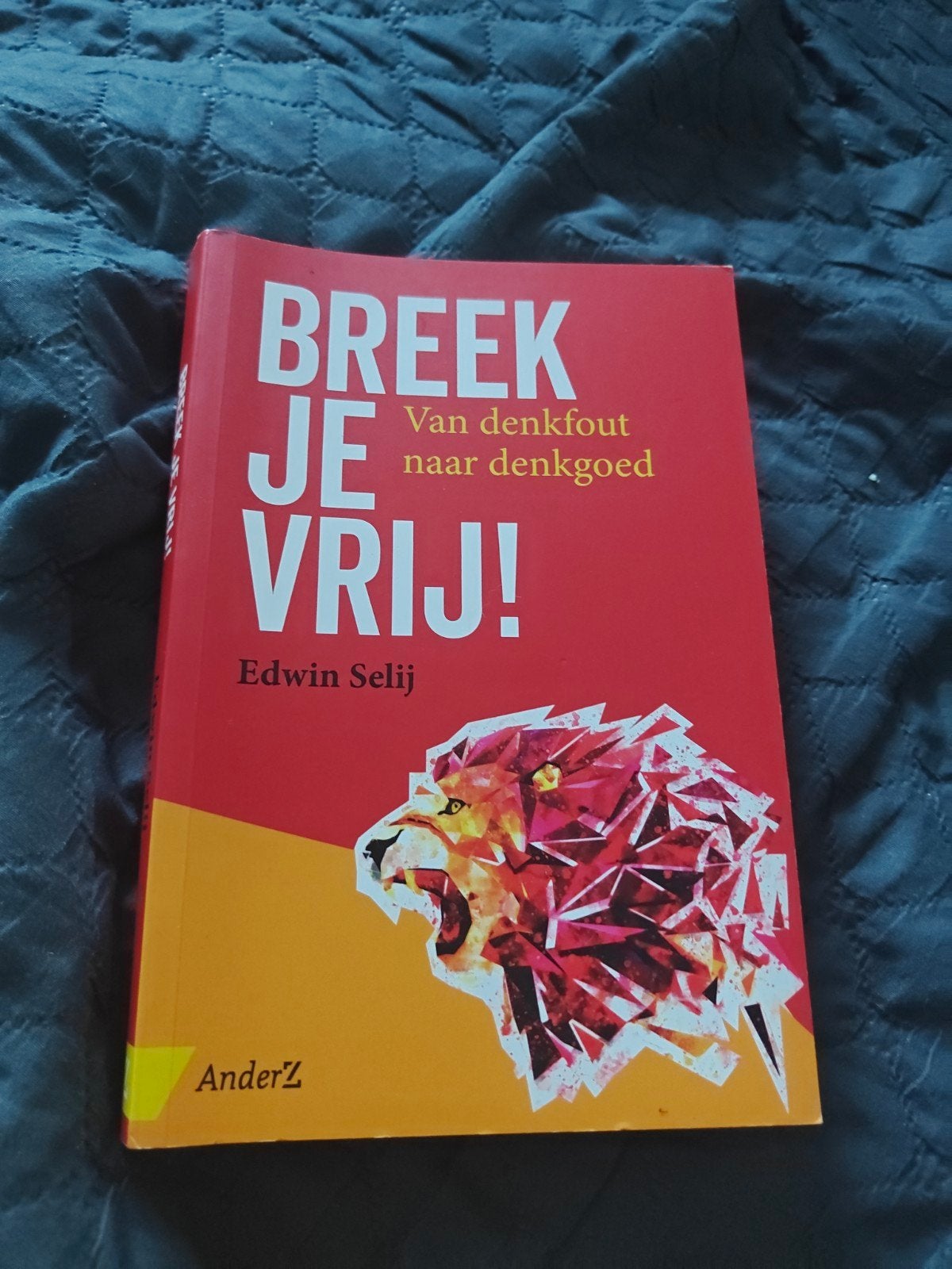 Edwin Selij - Breek je vrij!, Ophalen of Verzenden, Zo goed als nieuw, Edwin Selij