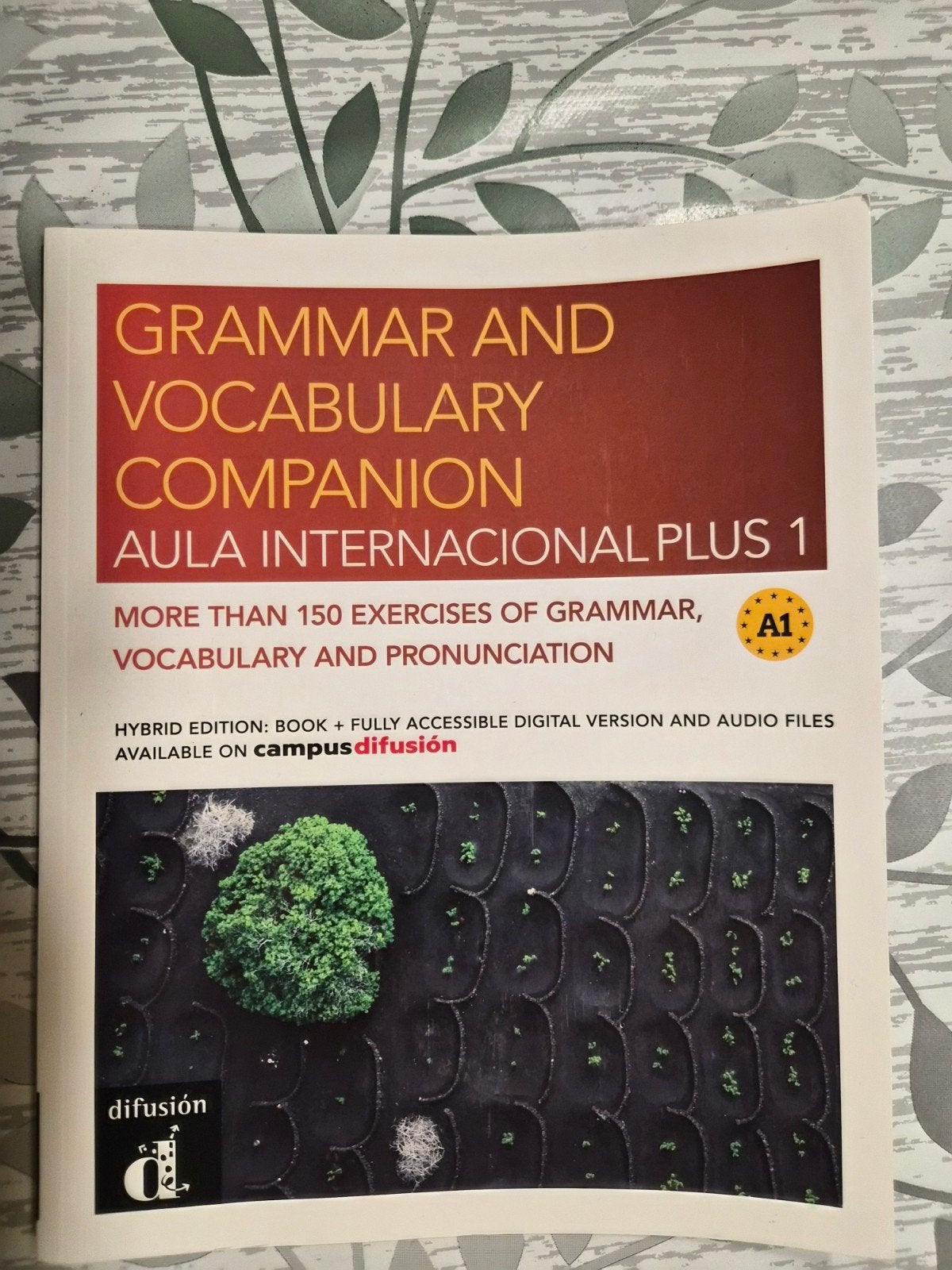Grammar and Vocabulary Companion AULA INTERNACIONAL PLUS 1, Ophalen of Verzenden, Zo goed als nieuw, Engels, Spaans, Non-fictie