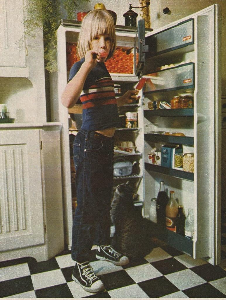 Retro reclame 1974 AEG koelkast jongetje Jantje wil lolly, Verzamelen, Retro, Verzenden, Overige typen
