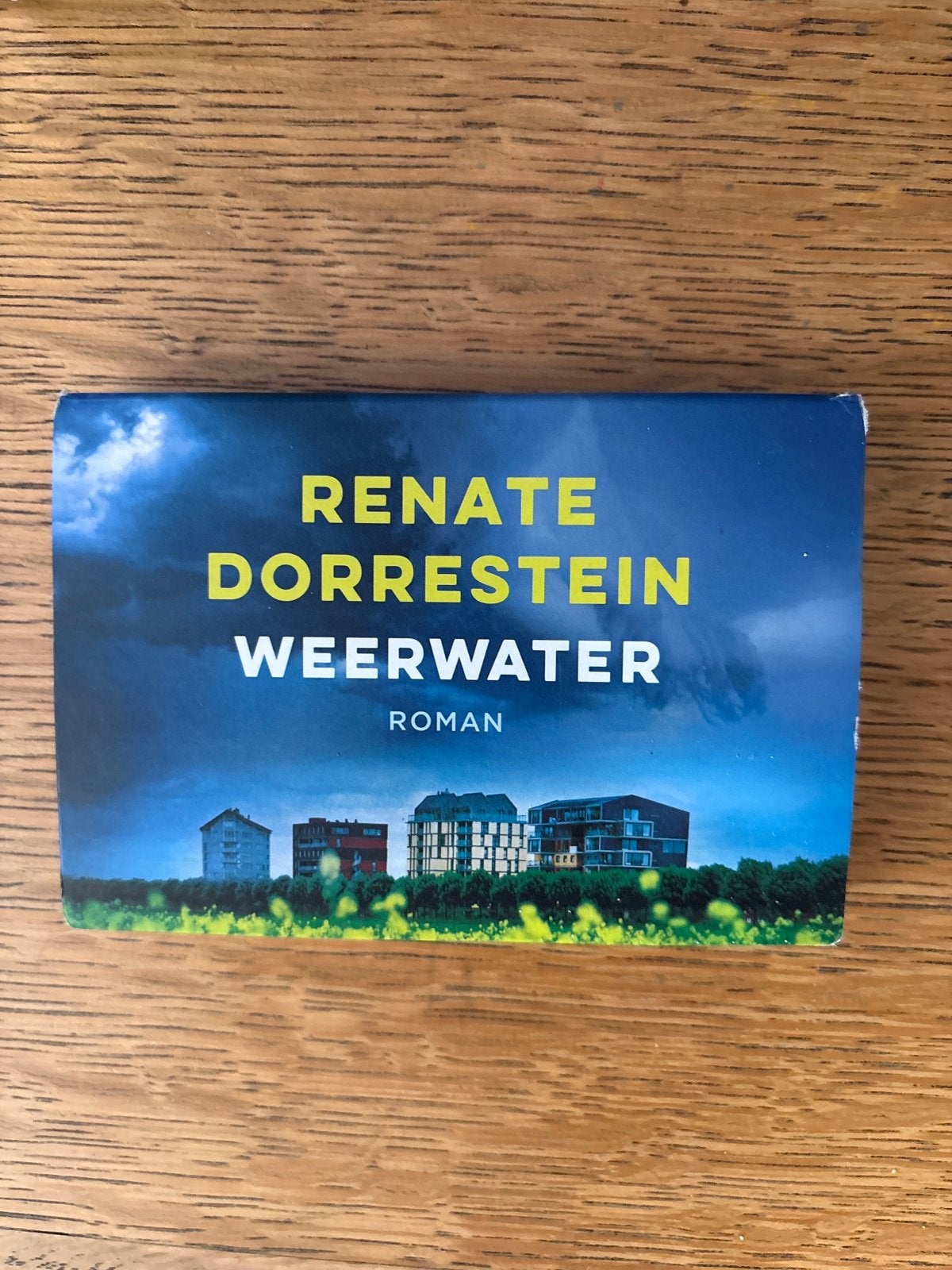 Renate Dorrestein - Weerwater (Roman), Ophalen of Verzenden, Zo goed als nieuw, Nederland