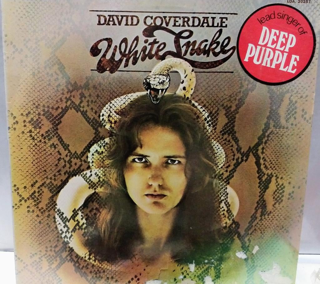 David Coverdale - Whitesnake, Ophalen of Verzenden, Gebruikt