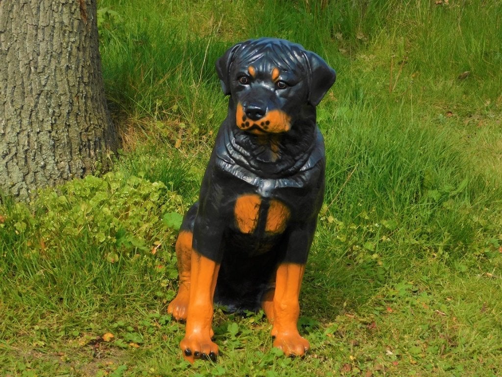 Prachtig polystonen beeld van een rottweiler., Dierenbeeld, Kunststof, ., Nieuw