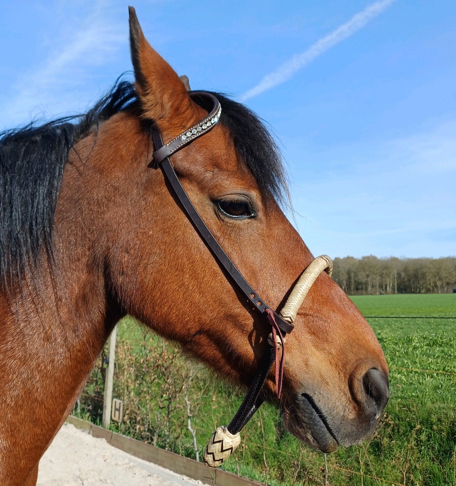 Bosal met one-ear kopstuk (cob), Dieren en Toebehoren, Ophalen of Verzenden, Zo goed als nieuw, Western