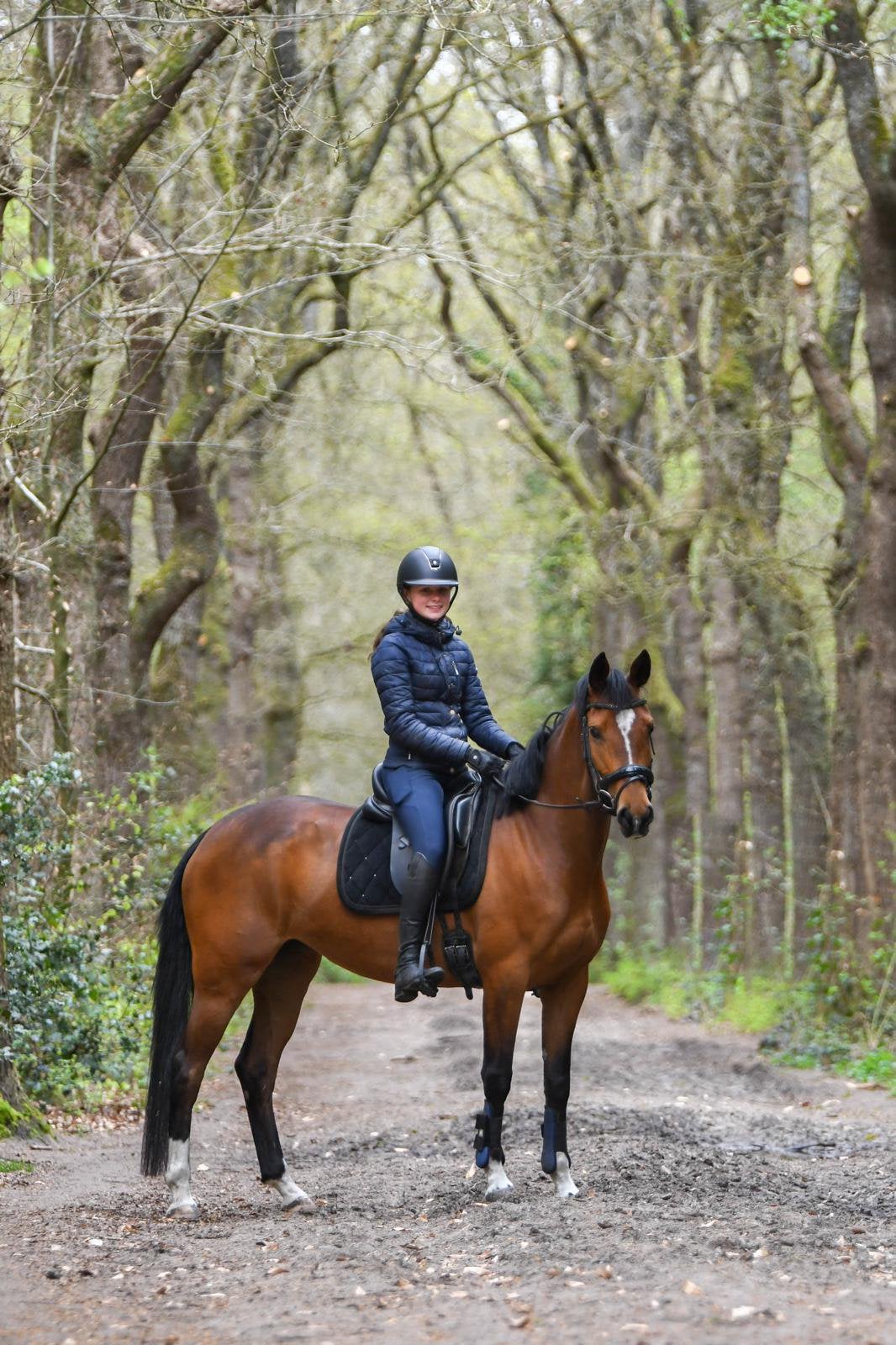 Super brave E pony, B, 3 tot 6 jaar, Merrie, Gechipt