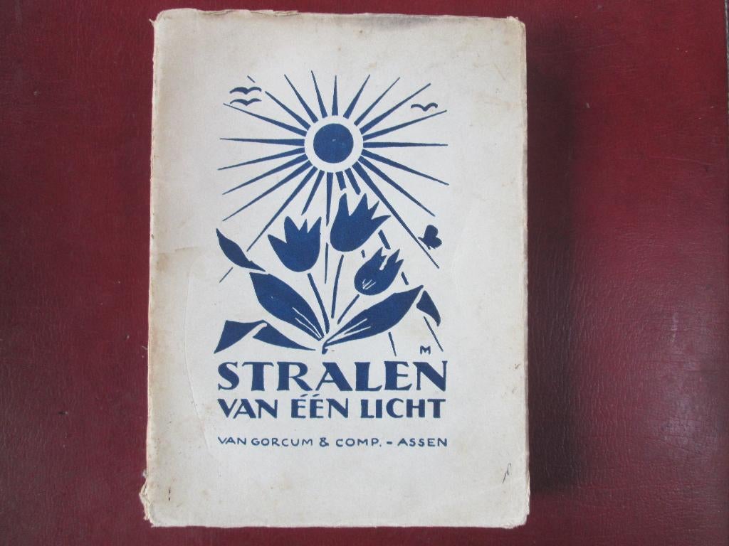 Stralen van één Licht, door R. Oostra, Boeken, Ophalen of Verzenden, Gelezen, Fictie