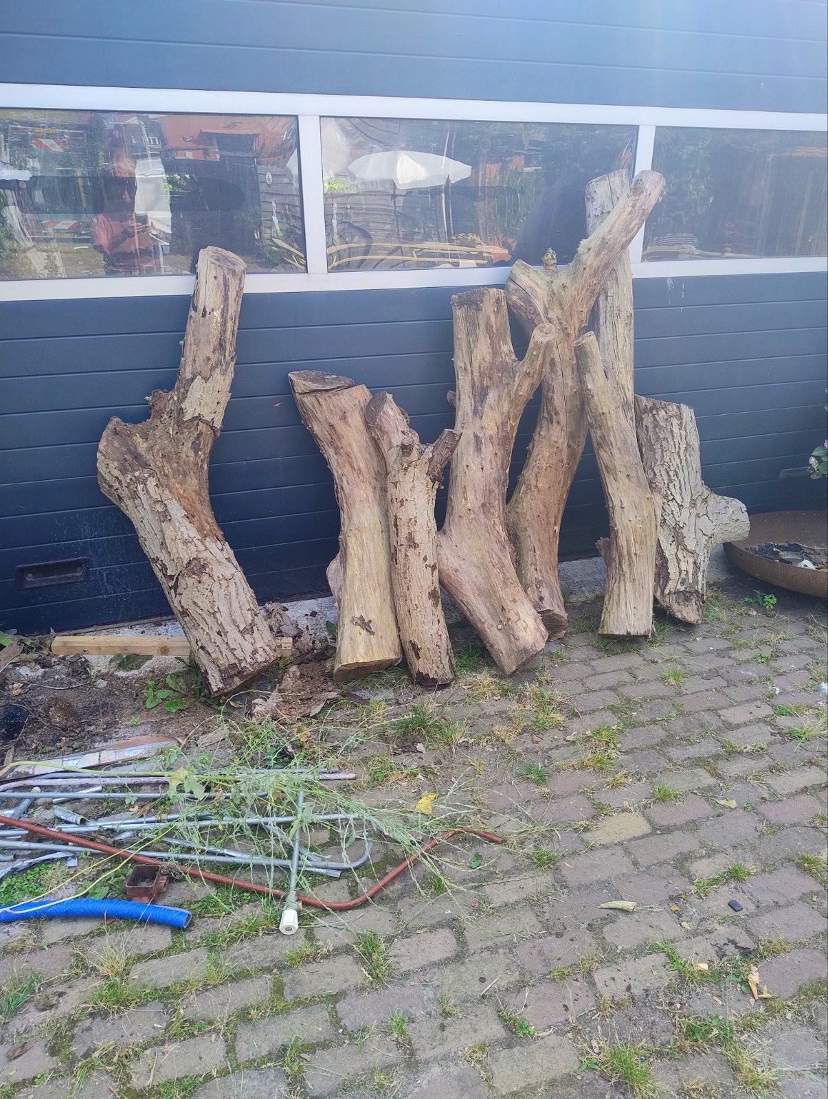 Grote partij walnotenhout, 3 tot 6 m³, Ophalen of Verzenden, Overige houtsoorten, Stammen