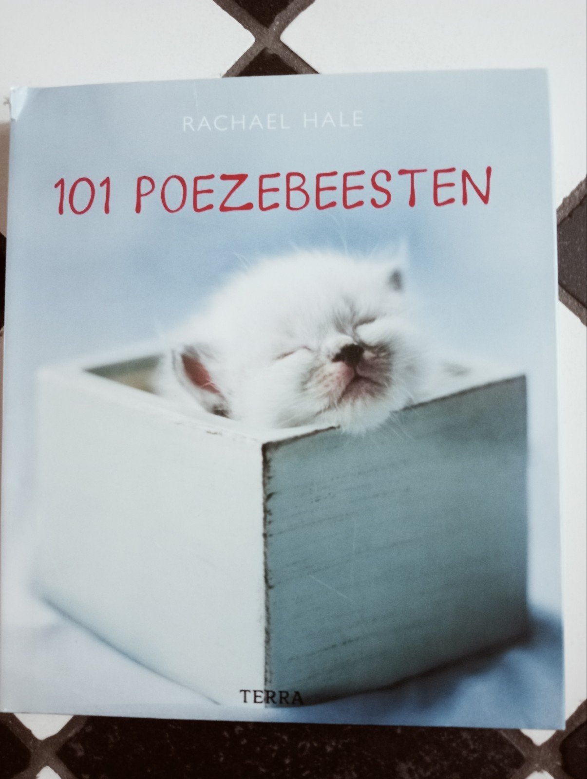 Boek: 101 Poezebeesten van Rachael Hale - boek over katten, Gelezen, Rachael Hale, Ophalen of Verzenden, Katten