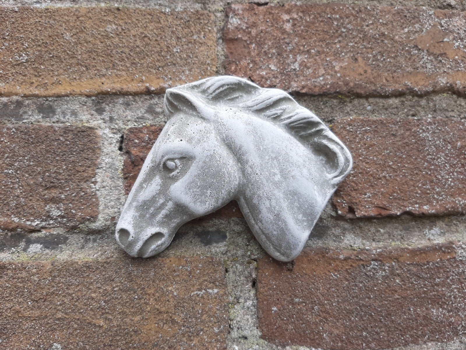 Paard wanddecoratie betonnen beeld tuinbeeld beton, Ophalen of Verzenden