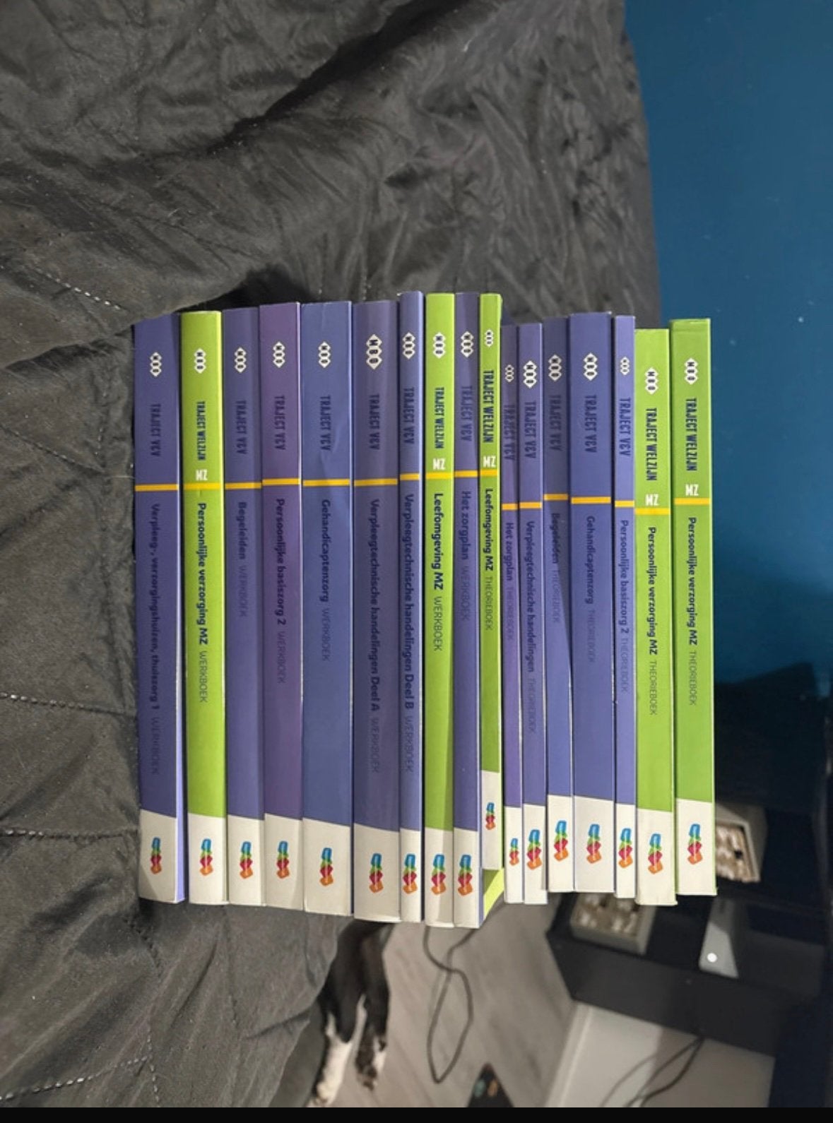 Verzorgende ig niveau 3, Ophalen of Verzenden, Beta, MBO