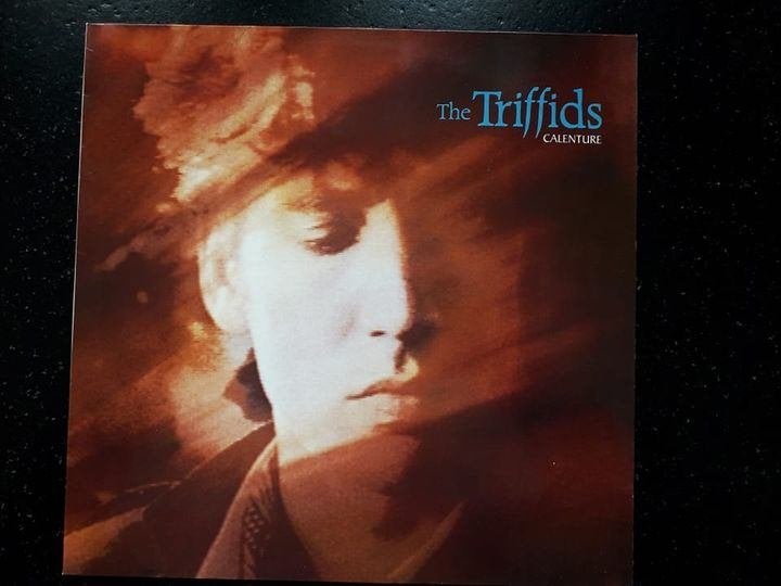 TRIFFIDS - CALENTURE - LP, Verzenden, Zo goed als nieuw, Pop, LP