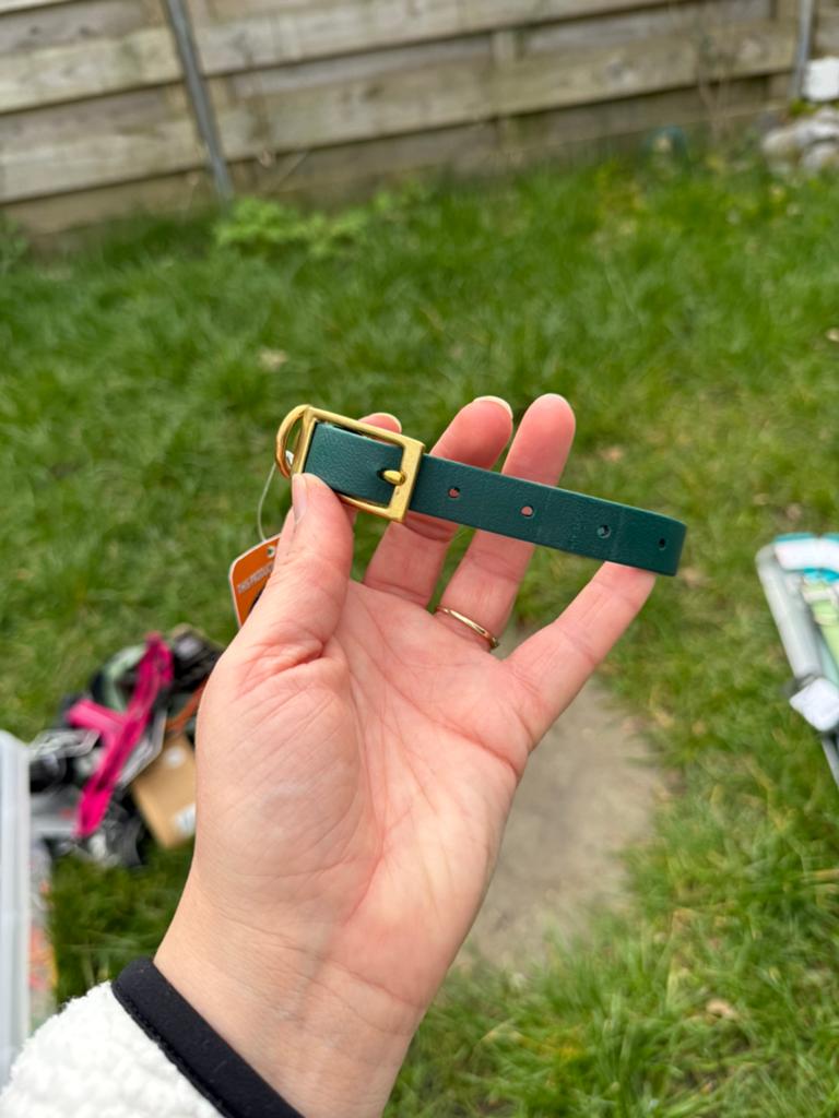Groene halsband biothane, Ophalen of Verzenden, Nieuw