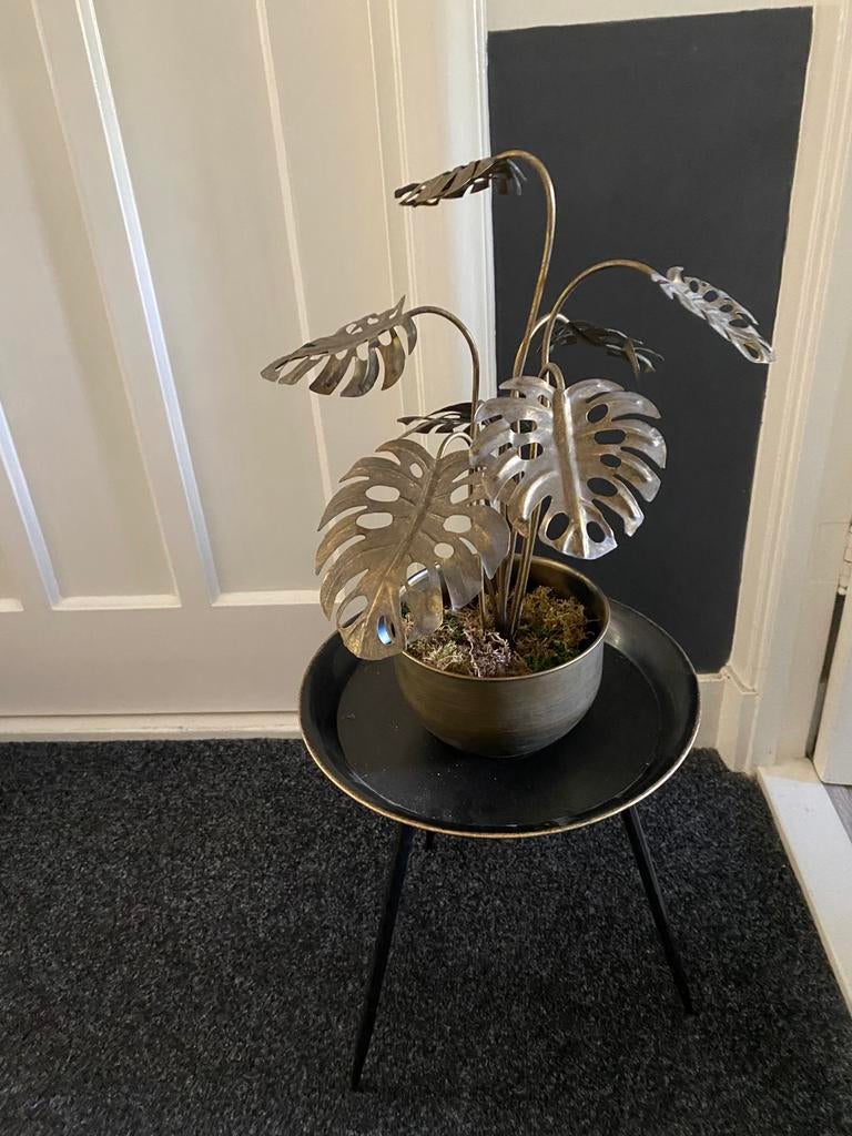 Leuk matgoud potje met plantje, Huis en Inrichting, Woonaccessoires | Overige, Ophalen of Verzenden, Zo goed als nieuw