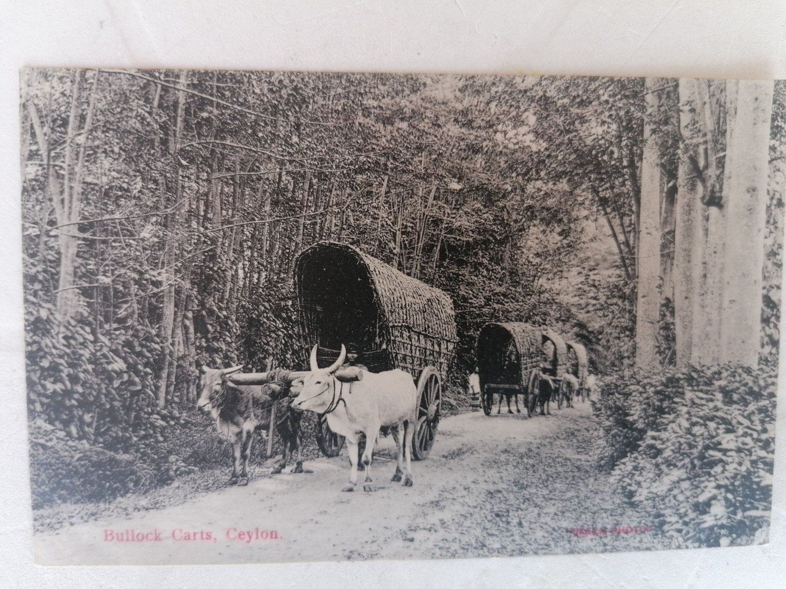 Ceylon Bullock Carts, Verzamelen, Ophalen of Verzenden, Buiten Europa
