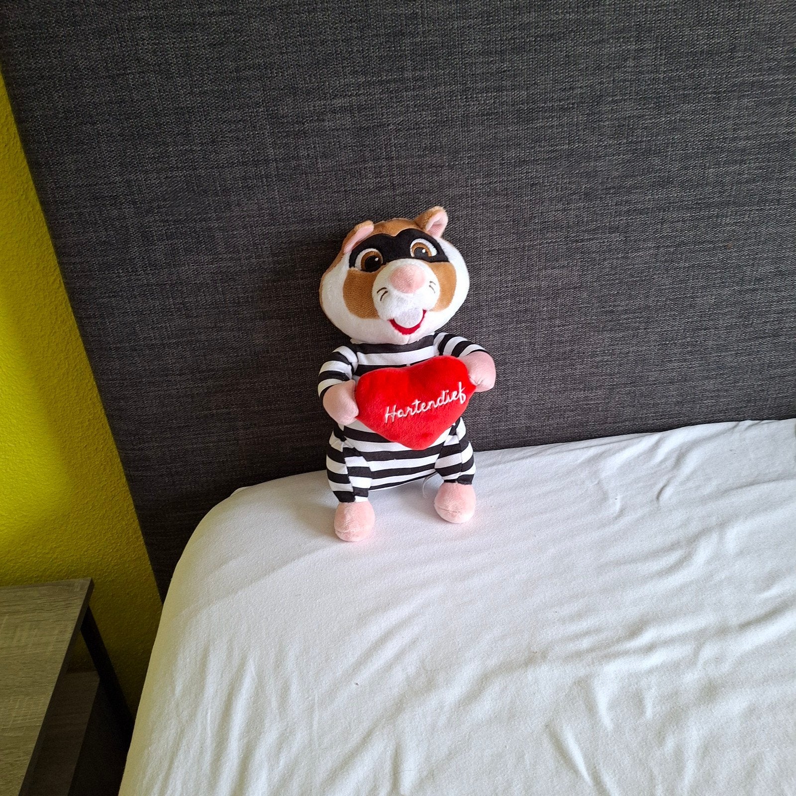 Leuke Valentijn Hamsters - Knuffels voor de Liefde, Overige merken, Overige karakters, Hamster, Ophalen of Verzenden