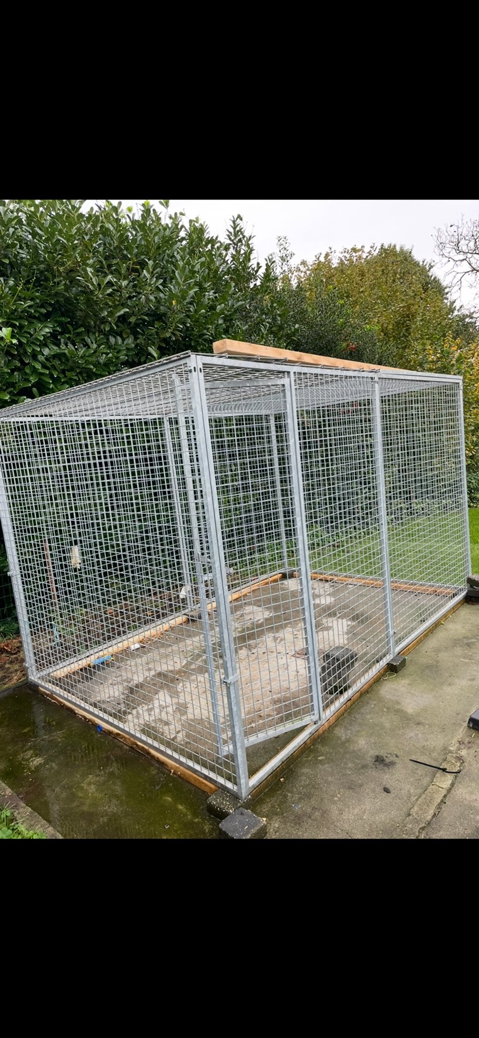 Honden ren  katten ren, Dieren en Toebehoren, Ophalen