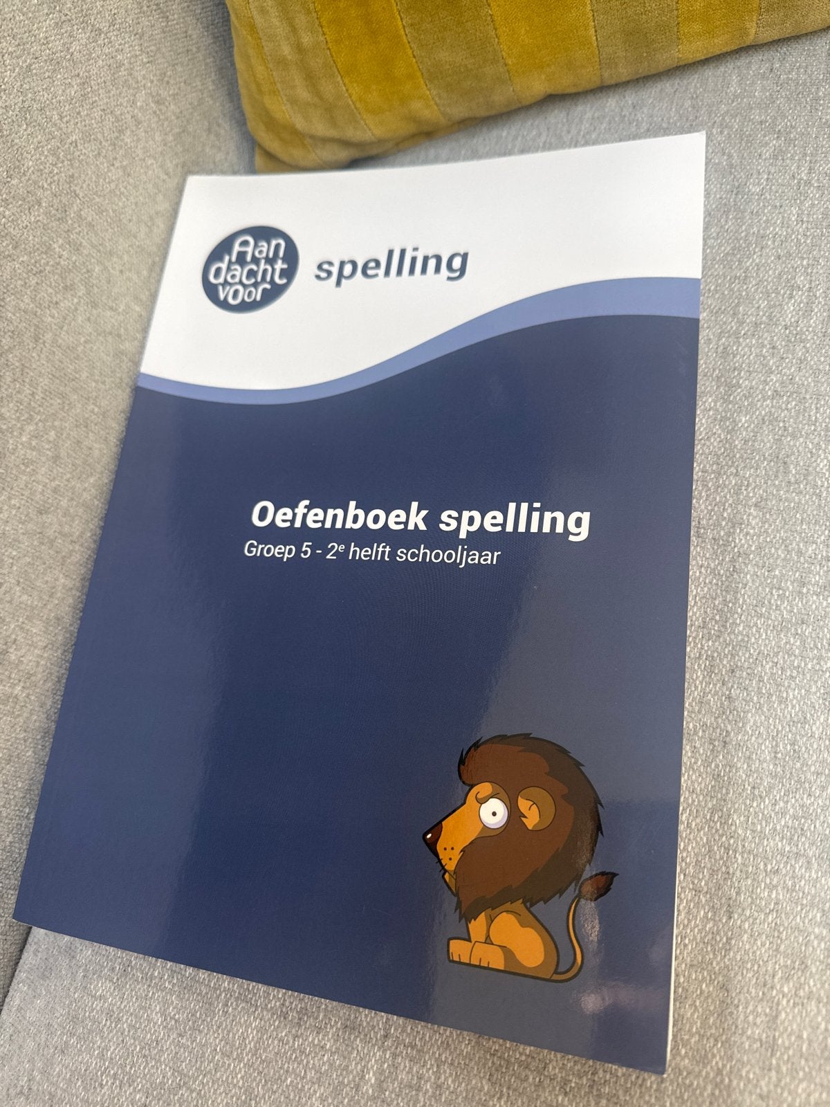 Nieuw Oefenboek Spelling Groep 5 - 2e helft schooljaar, Ophalen of Verzenden, Nieuw, Overige niveaus, Nederlands