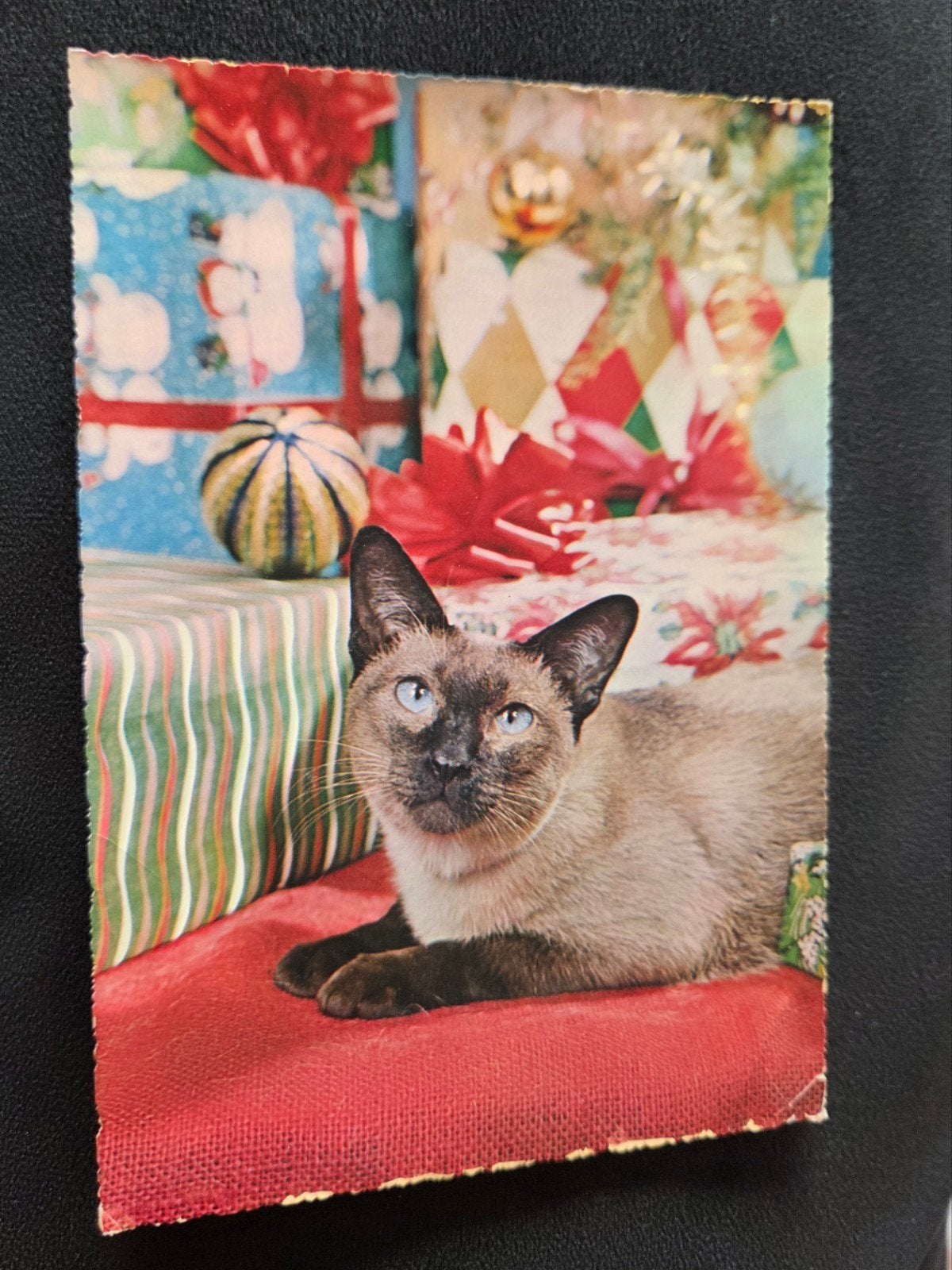 Siamese Kat en Cadeaus, Verzenden, 1980 tot heden, Gelopen, Hond of Kat