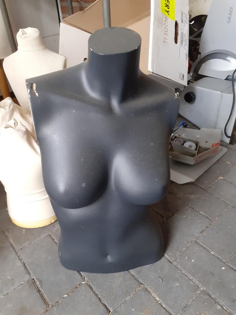 Paspop torso, Hobby en Vrije tijd, Ophalen of Verzenden, Gebruikt, Paspop