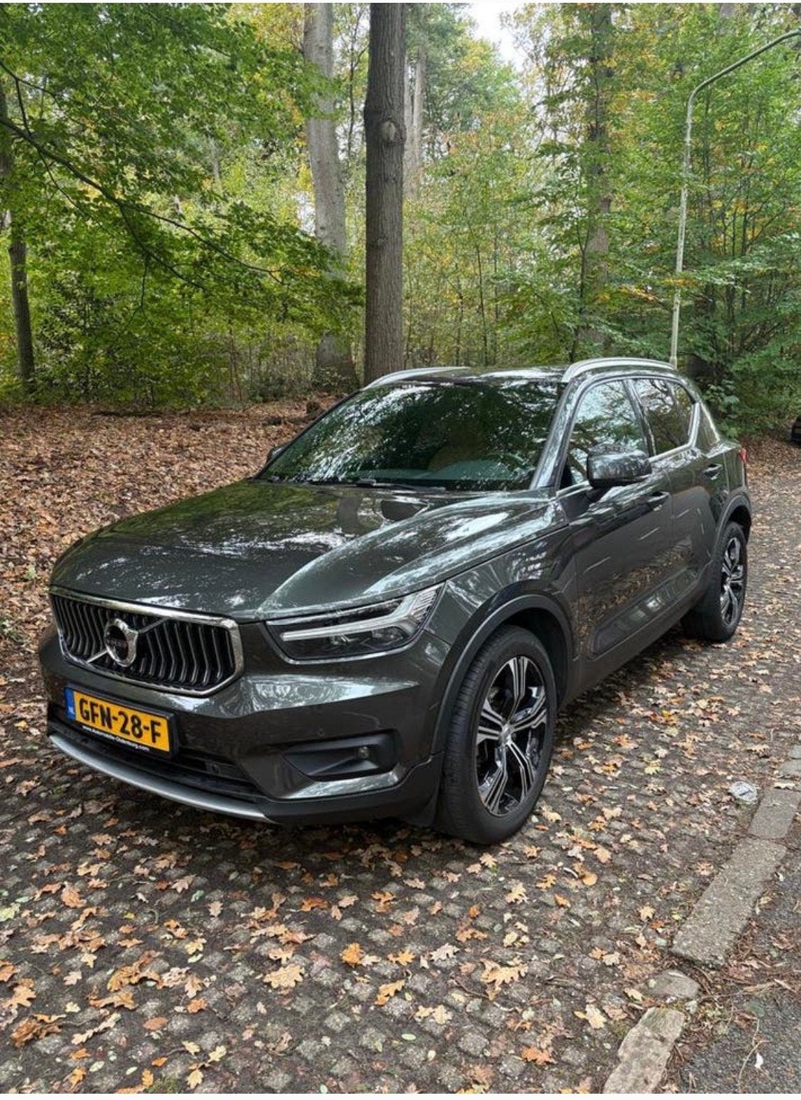 Volvo XC40 D3 Pano/360/Carplay