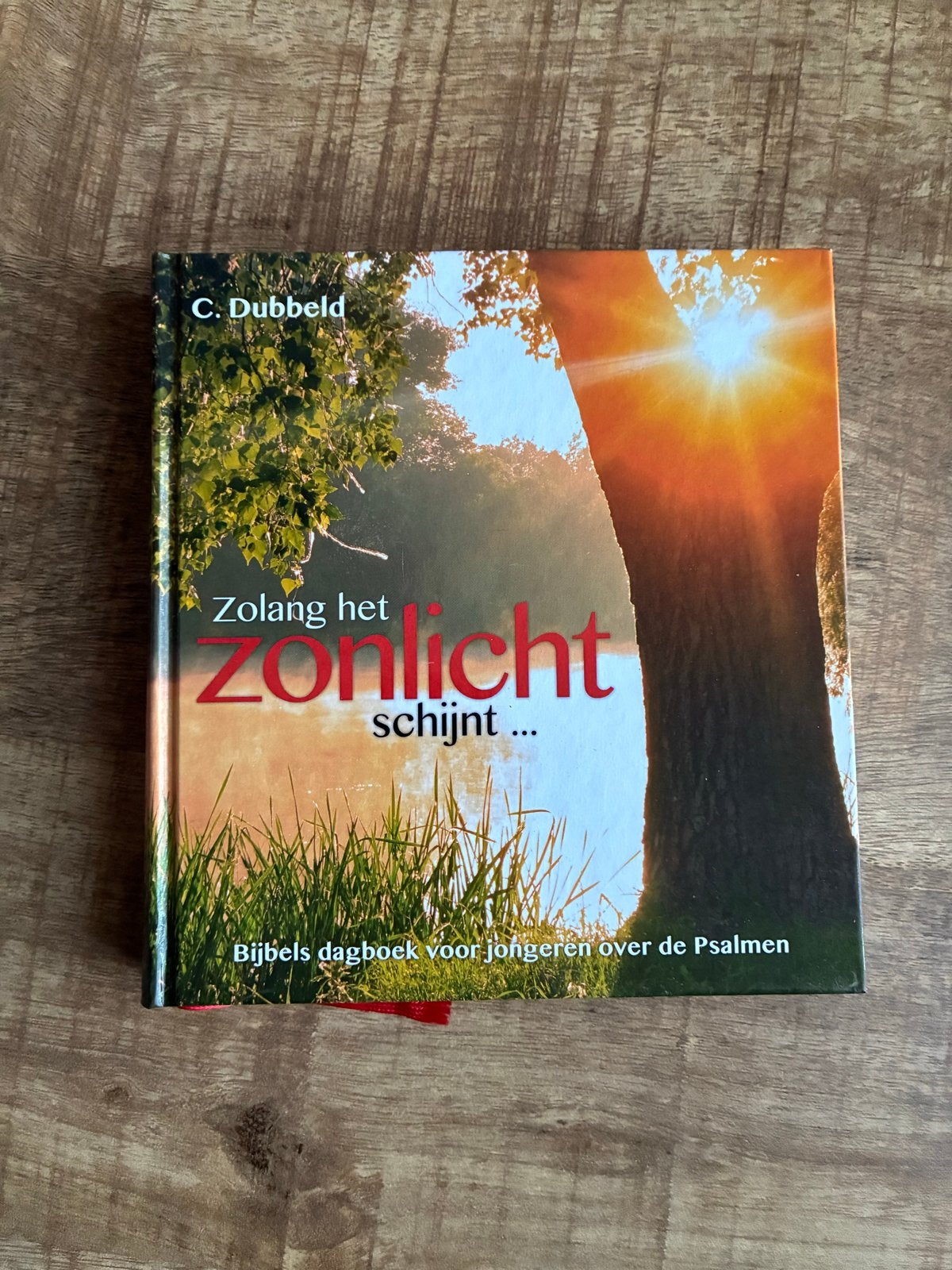 Zolang het zonlicht schijnt... Bijbels dagboek voor jongeren, Boeken, Godsdienst en Theologie, Ophalen of Verzenden, Zo goed als nieuw