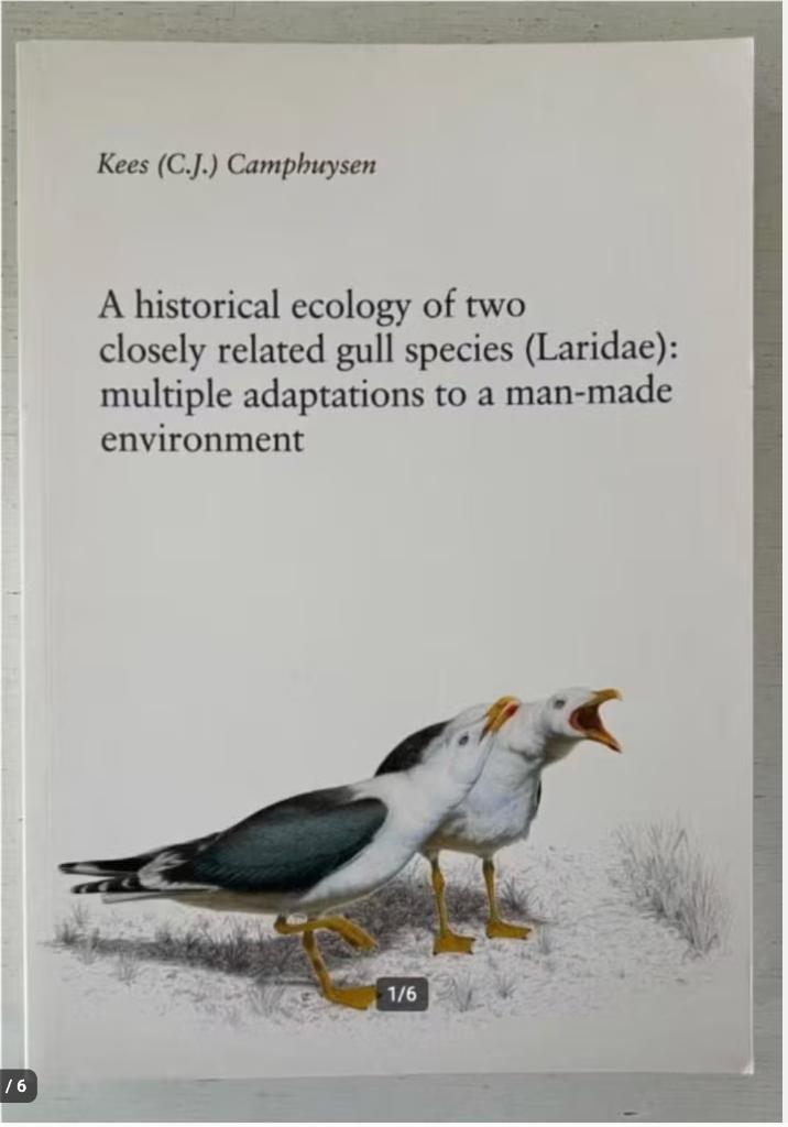 A Historical ecology of two closely related gull species, Boeken, Ophalen of Verzenden, Beta, Zo goed als nieuw, WO