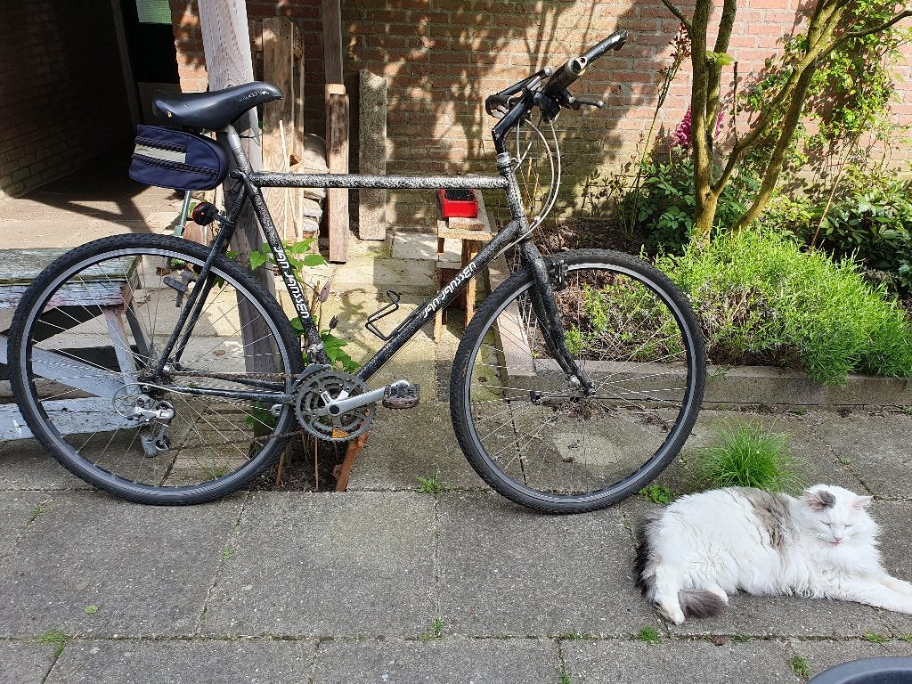 Jan Janssen La Norma hybride 58cm, 28 inch, Gebruikt, Velgrem, 15 tot 20 versnellingen