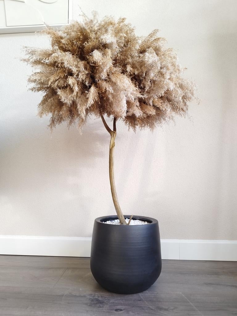Pampasboom Pampas mini boom Japandi Hotel Chique 75cm, Ophalen, Bruin, Nieuw, Kunsttak