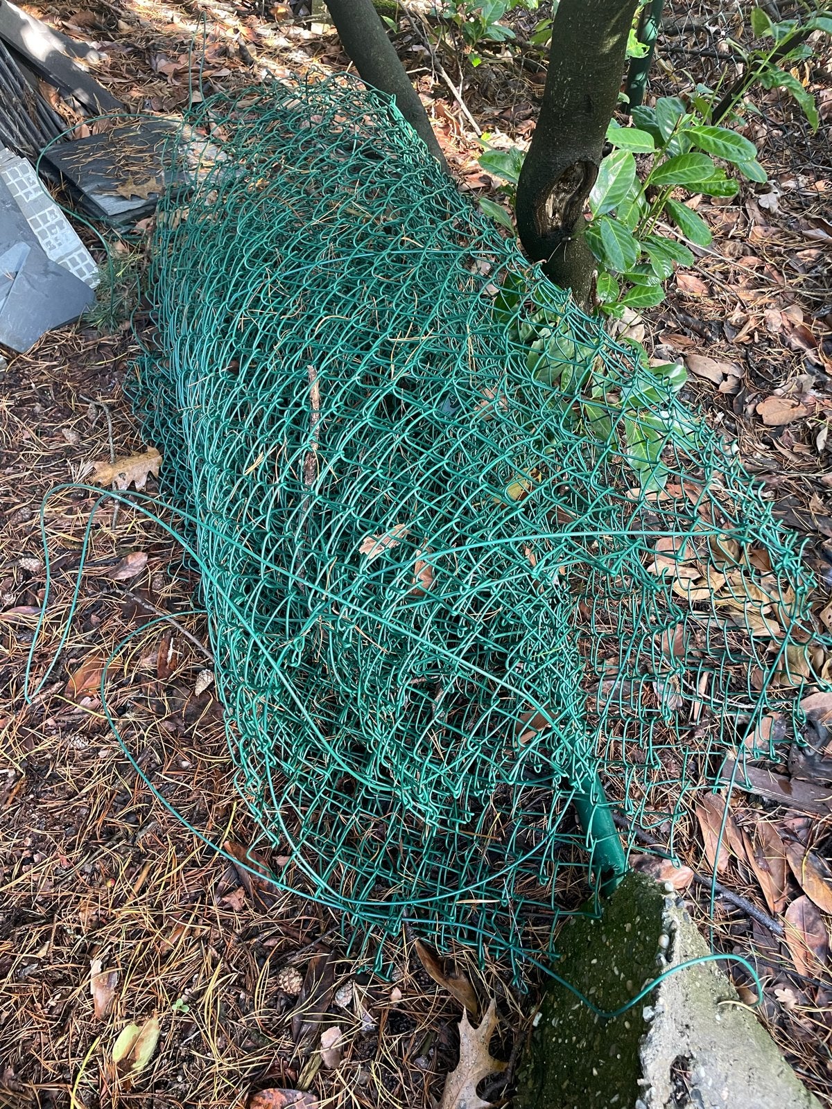 12 m Groen raster hekwerk gaas prikkeldraad voor tuin of erf, Tuin en Terras, Ophalen of Verzenden, Zo goed als nieuw, 10 tot 20 meter