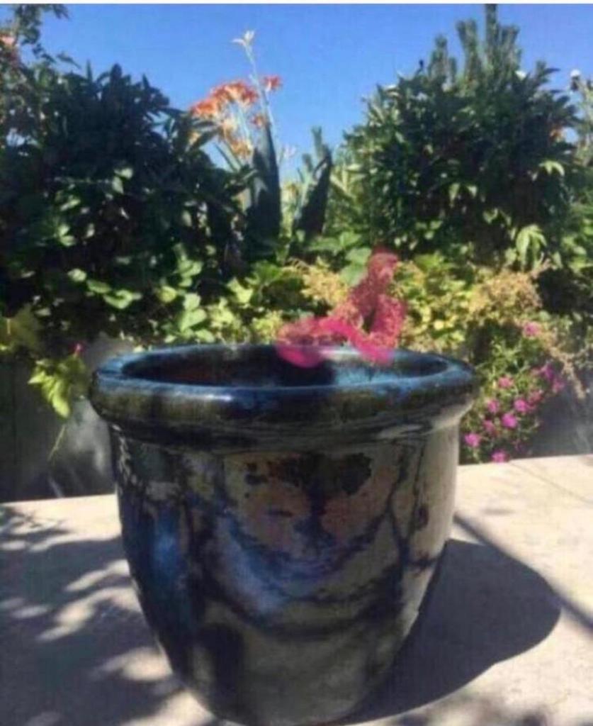 Unieke vintage terracotta bloempot geheel geglazuurd 28cm, Ophalen, Rond, Binnen, Zo goed als nieuw